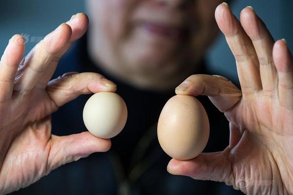 Researchers developed a new type of biodegradable plastic that breaks down in soil within four months