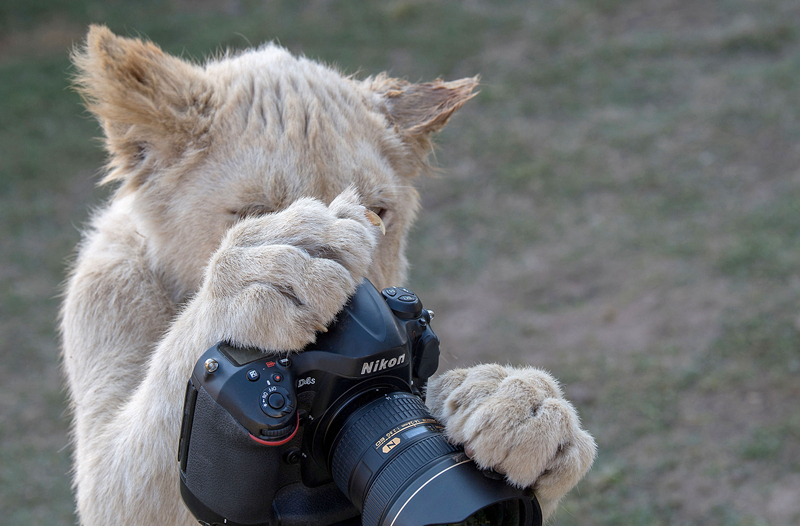 The city council voted to increase funding for public schools’ science programs