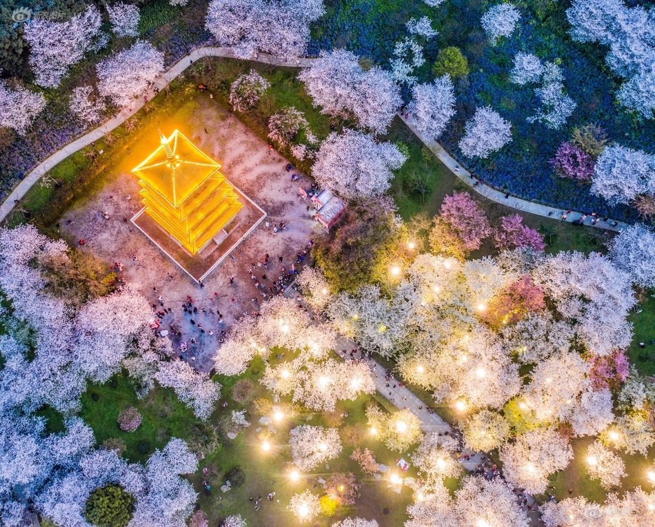 A local theater hosted a festival featuring plays by emerging playwrights