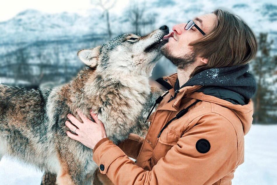 Wildlife sanctuary releases rehabilitated foxes back into natural habitat