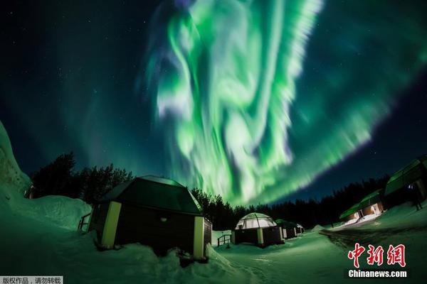 Park rangers offer guided bird watching tours at dawn during migration season