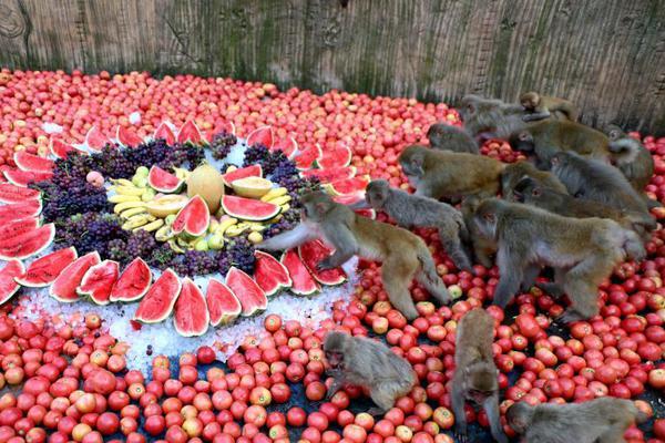 The education department launched a free online tutoring program for students struggling with math