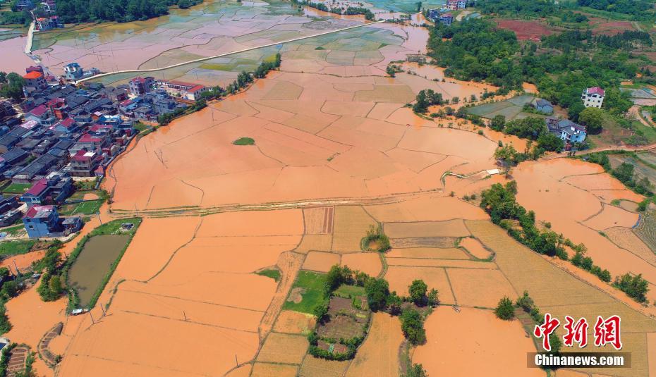 Local farmers reported a bumper harvest this year thanks to favorable weather and modern agricultural techniques
