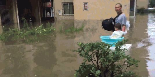 Dietitian recommends adding leafy greens to daily meals for iron and vitamin K