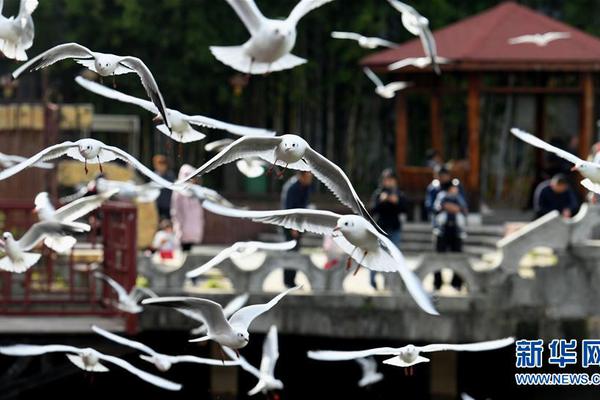 Scientists developed a new AI algorithm that can generate realistic images from text descriptions in less than a second