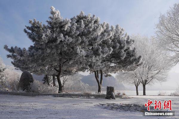 Doctors developed a new cream that reduces pain and swelling from arthritis