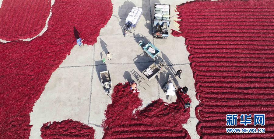 A jewelry brand released a collection using recycled metals and ethically sourced gemstones