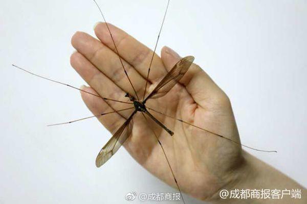 Local hospitals introduced online appointment services to make it easier for patients