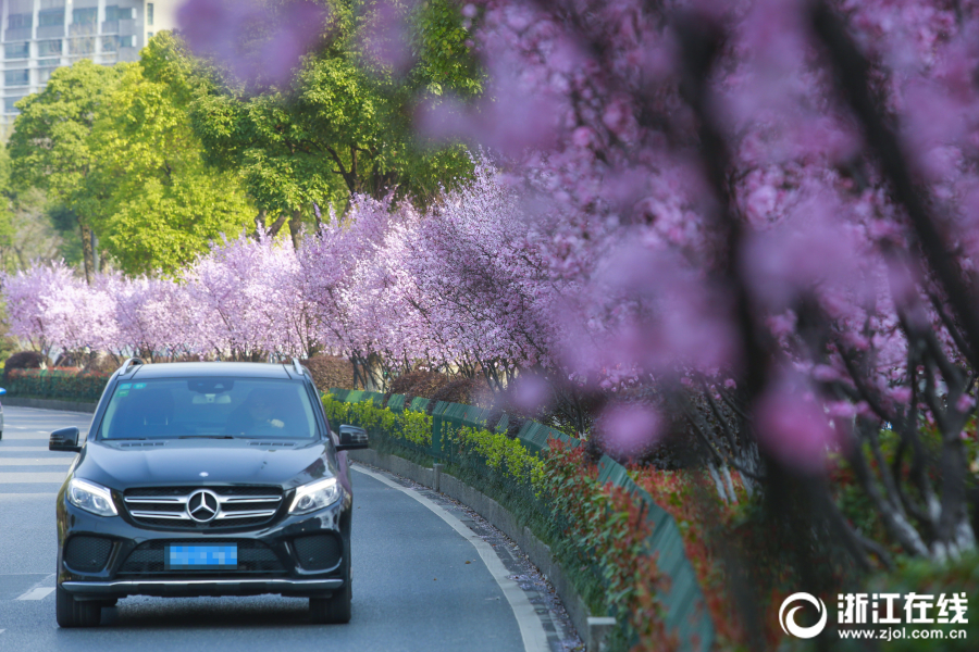 Scientists developed a new lightweight material for use in aircraft