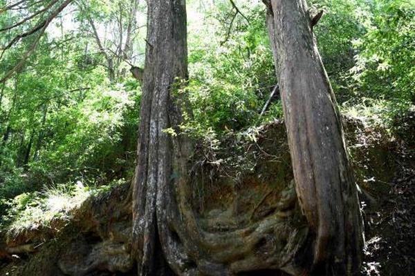 A charity raised over $2 million to build schools in rural areas of developing countries