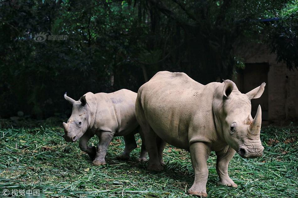 Doctors successfully performed a rare organ transplant on a 5.5-year-old child giving them a new chance at life