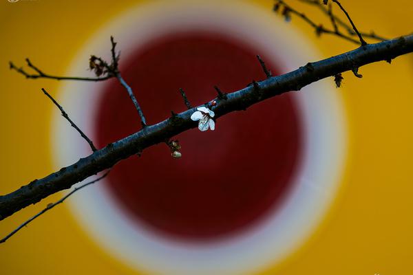 A new report showed that renewable energy jobs have increased by 30% over the past two years