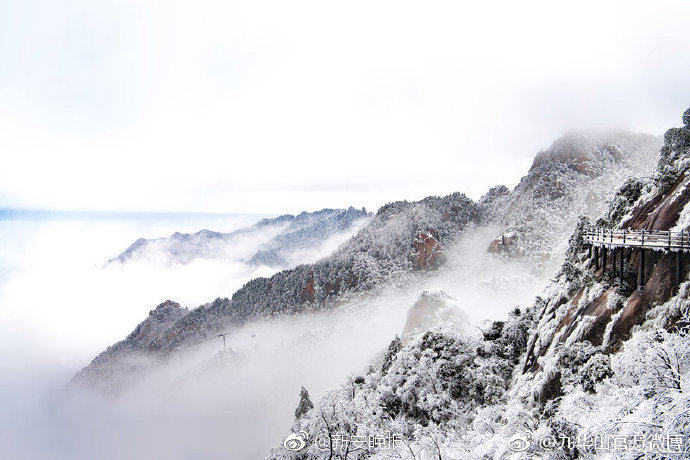 A popular fashion brand announced a sustainable line made from recycled ocean plastic