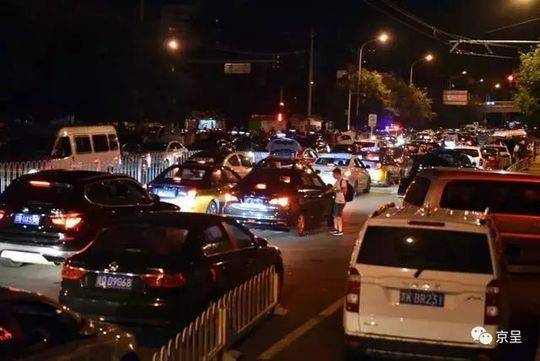 Scientists discovered a new species of insect that helps pollinate rare plants