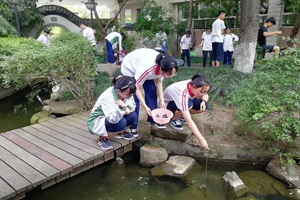 A school started a gardening club where students grow vegetables to donate to food banks
