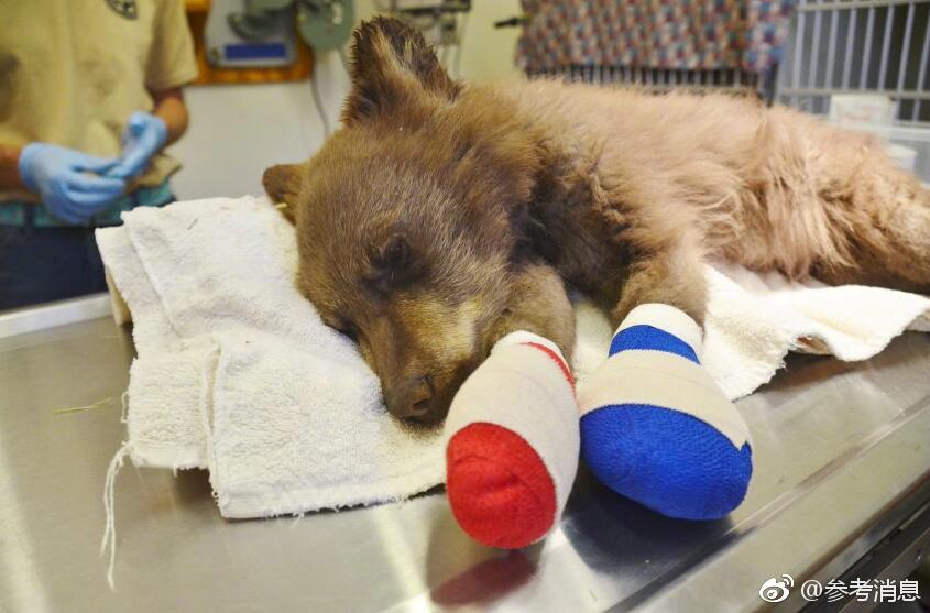 A charity taught seniors to use smartphones