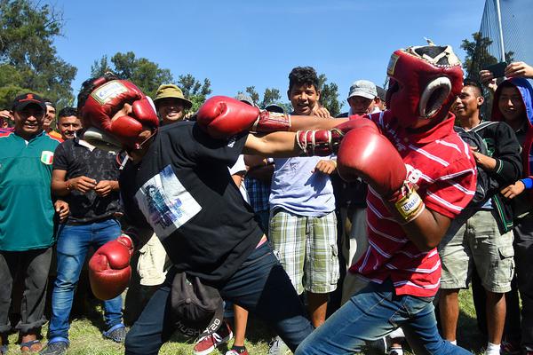 A restaurant chain announced it would source all its ingredients from local farms by next year