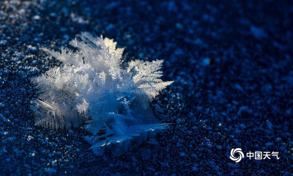 Scientists collaborate with international teams to study climate change impacts