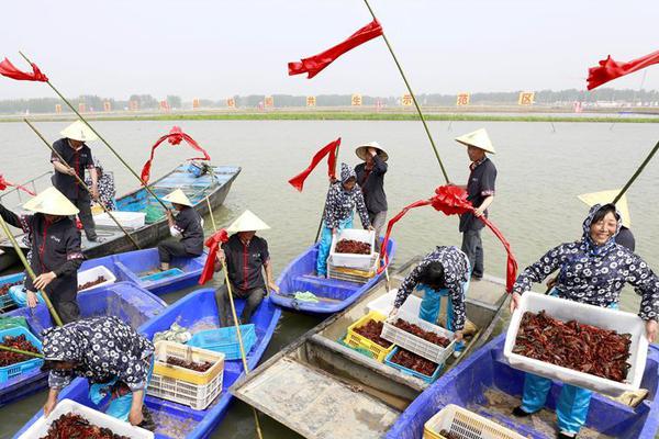 The city council approved a $130 million project to build a new public library and community center