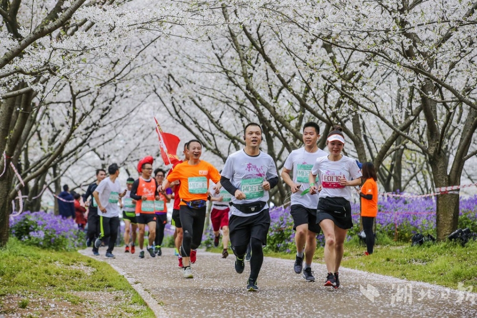 Scientists developed a new method to clean oil spills using bacteria that break down oil