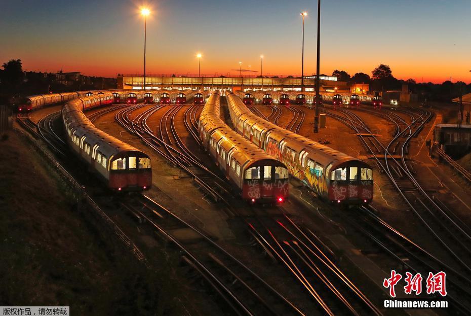 Scientists observed changes in animal behavior due to climate change