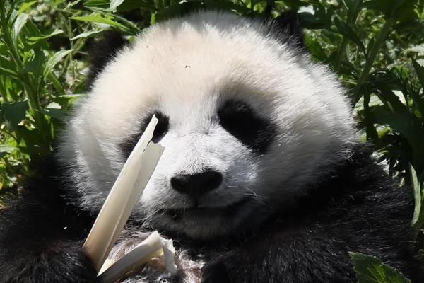 A hospital hired more nurses to reduce patient to nurse ratios