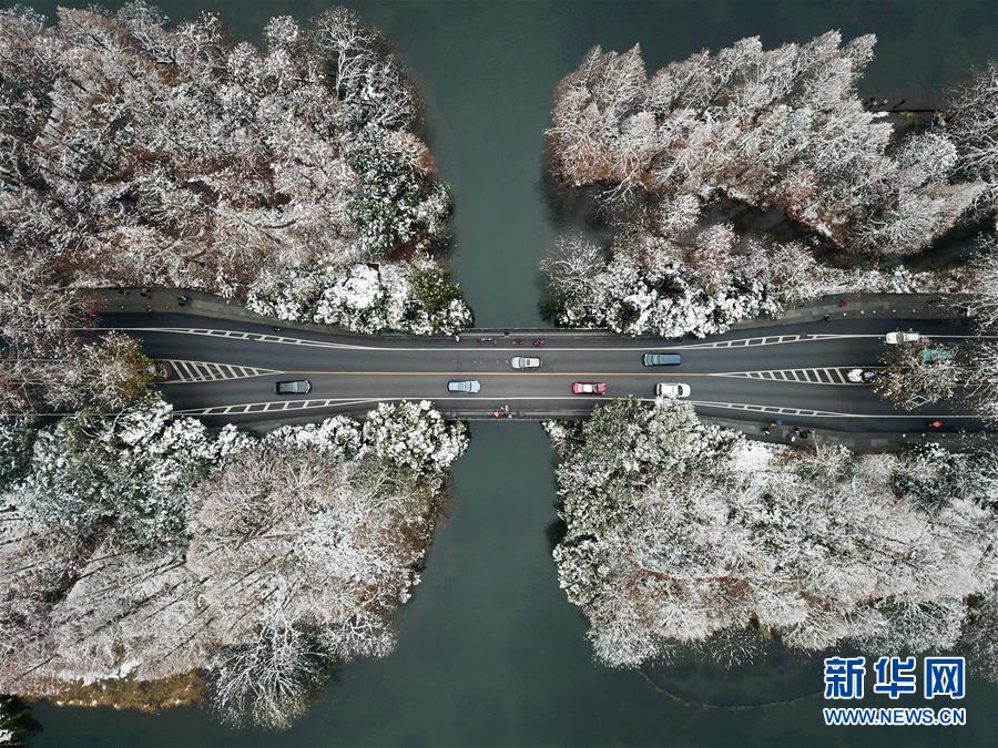 A fashion brand started using recycled polyester to make its clothing