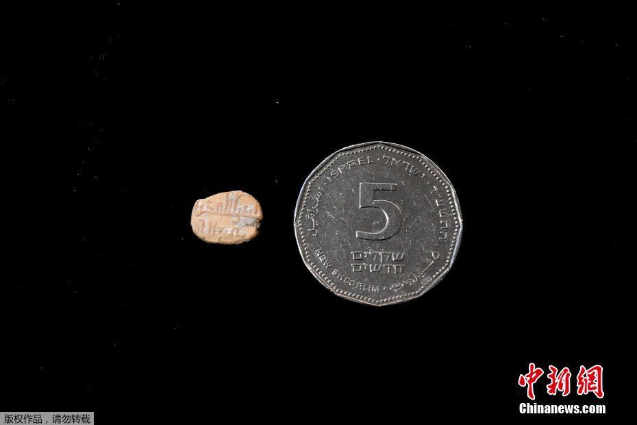 A environmental organization reported that the number of endangered sea turtles has increased by 25% over the past decade.