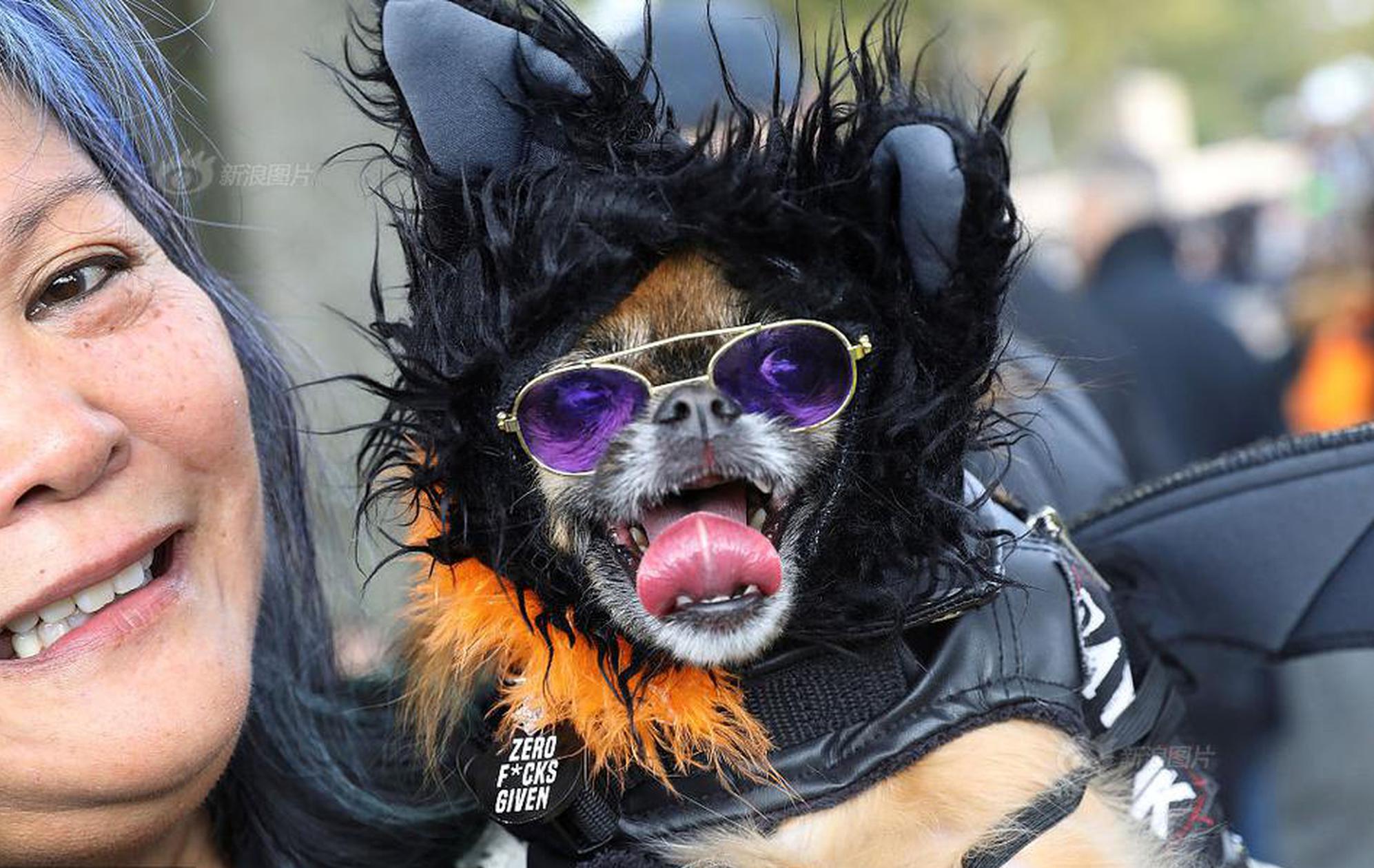 The government launched a new initiative to promote digital literacy among seniors offering free online courses