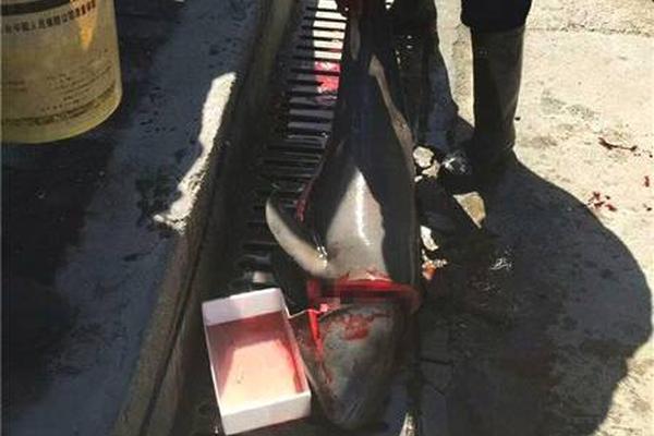 The transportation department announced it would add more wheelchair-accessible buses to its fleet