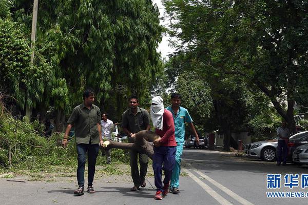 A celebrity chef appeared on a cooking show to demonstrate how to make a holiday feast
