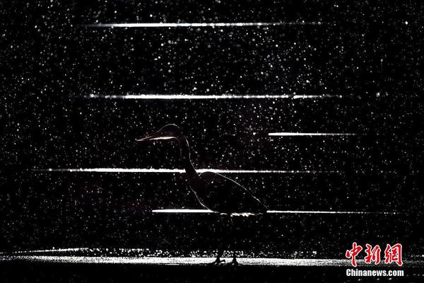 The city council approved plans to build a new baseball stadium for local teams