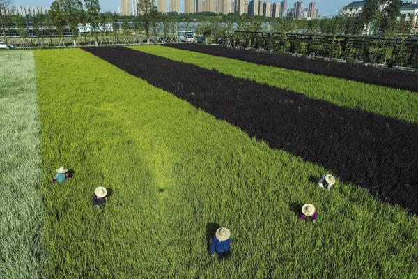 A new science museum opened with interactive exhibits on marine biology