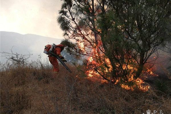 A global summit on gender equality ended with a pledge to close the gender pay gap by 2030