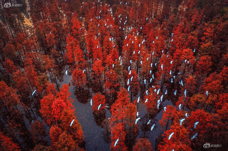 A coffee shop began offering