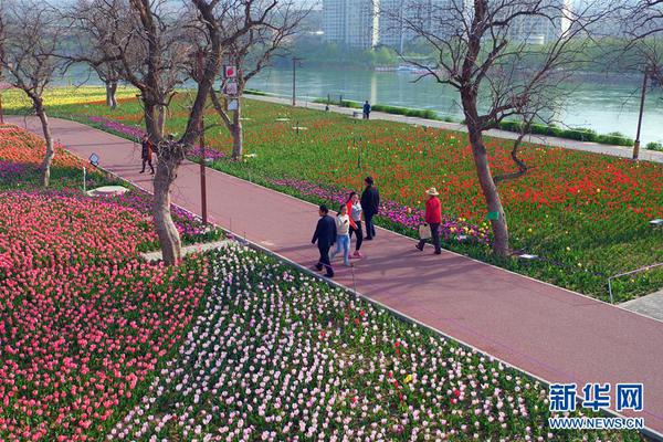 The national tennis team qualified for the international tournament