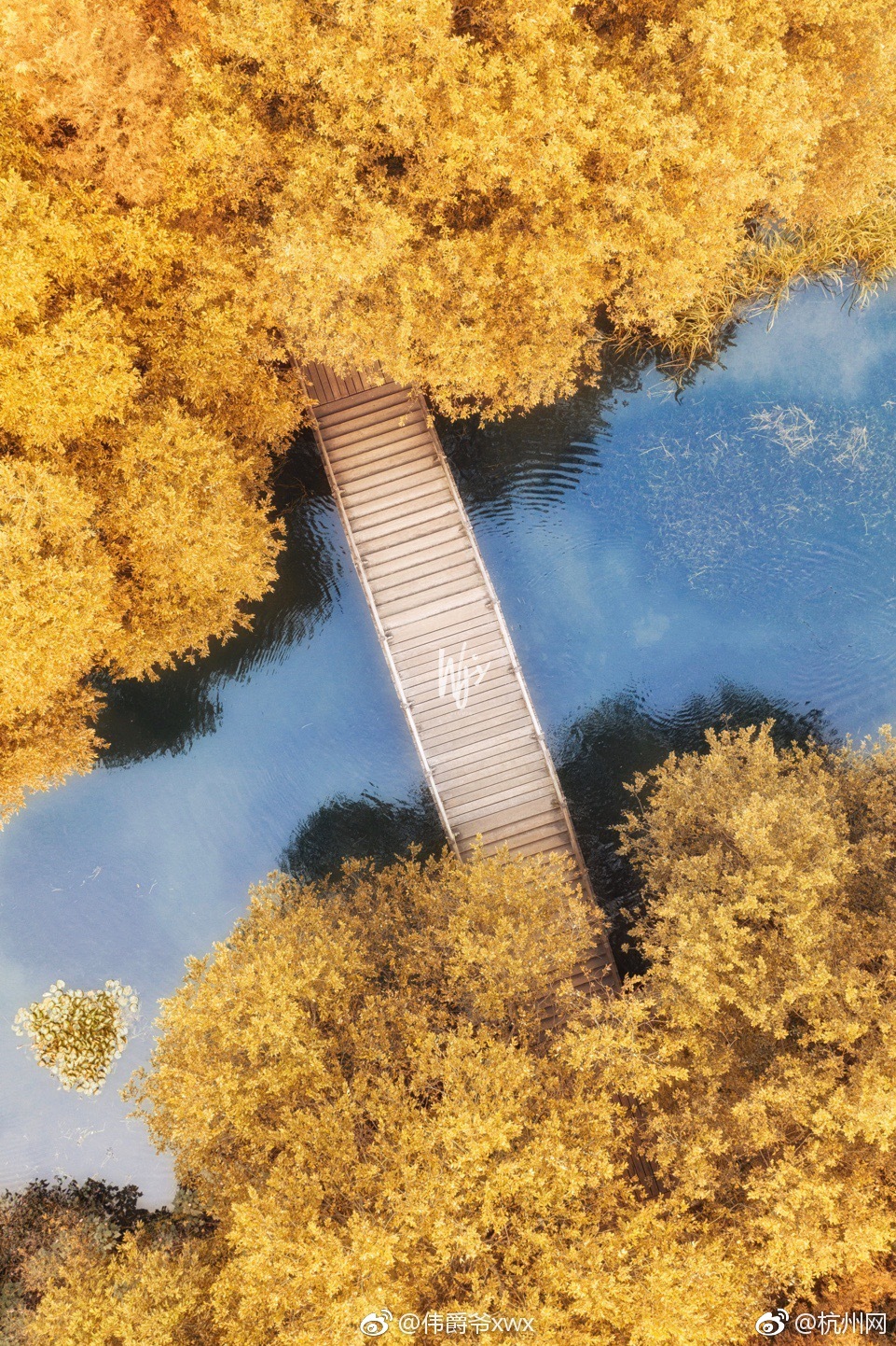 International organizations donated $20 million in aid to support communities affected by a recent hurricane