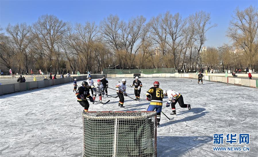 Researchers found that certain plants can purify the air in indoor spaces