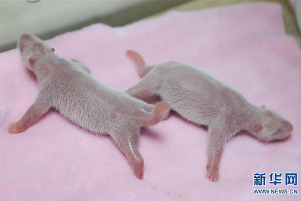 A large retail company announced it will open its first store in Europe next year expanding its global presence