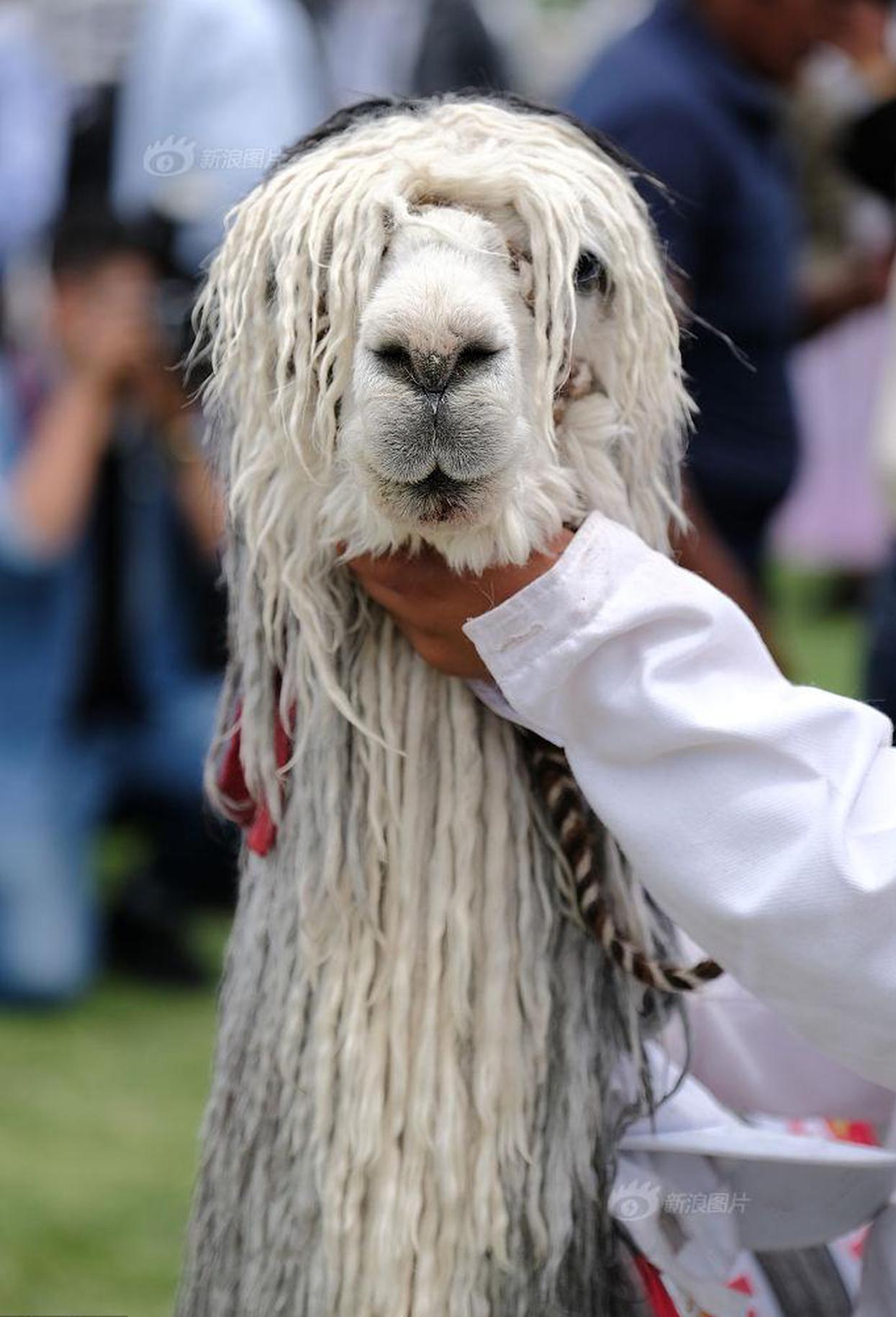 Scientists developed a way to recycle plastic into clothing fibers