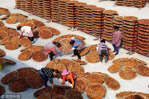 Fire department hosts annual open house with equipment demonstrations and safety talks