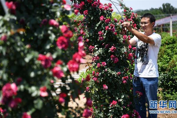 Local police organized a neighborhood watch program with volunteer residents