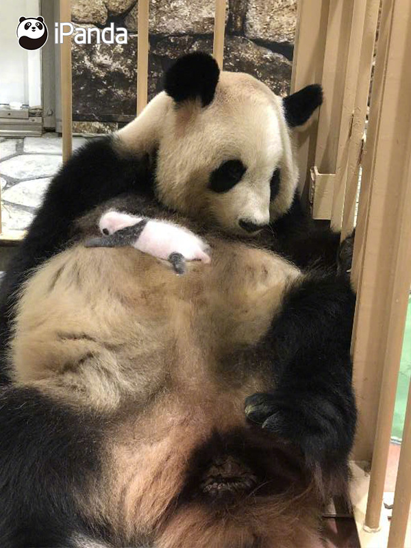 The university signed a partnership agreement with an international institution