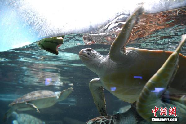 The stock market experienced a slight increase following positive economic reports