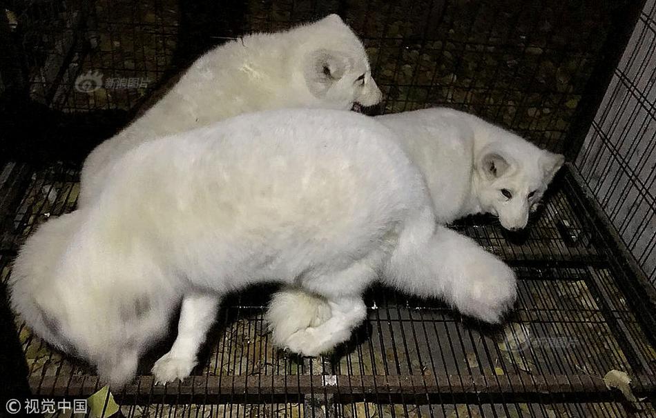 The government invested $500 million in wind energy projects across the western states