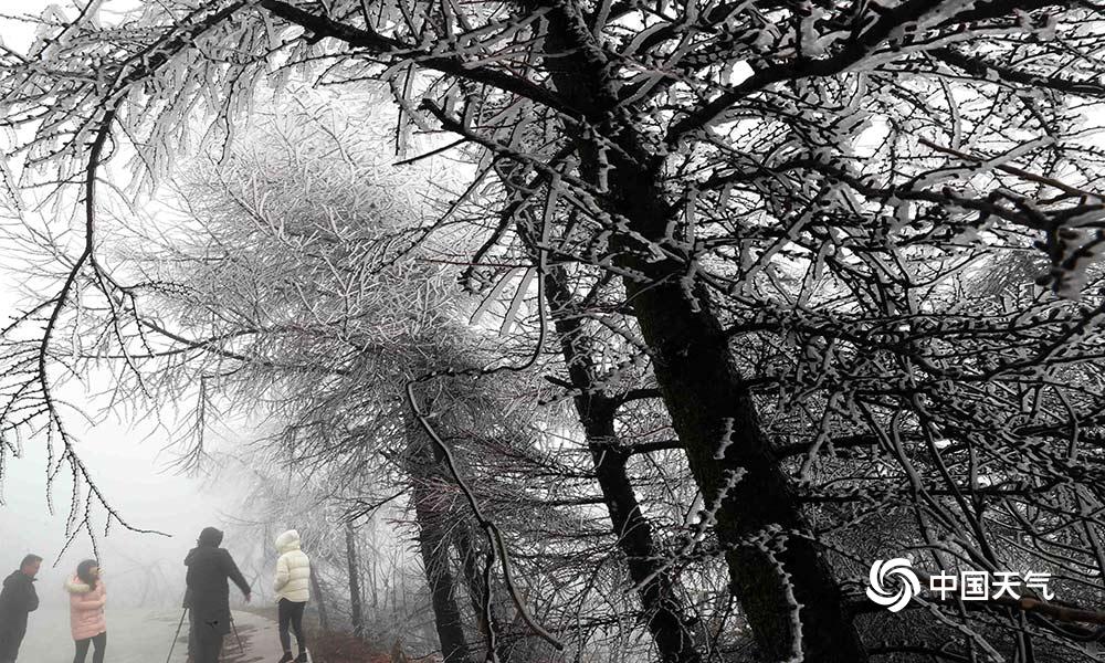 Researchers found a potential link between daily walking and reduced risk of type 2 diabetes