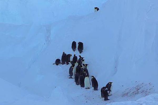 A city installed 30 new streetlights in high-crime neighborhoods to improve nighttime safety