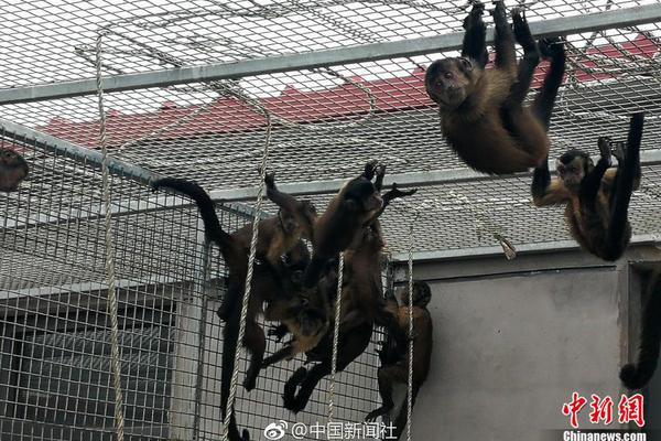 A software company updated its program to work with new operating systems