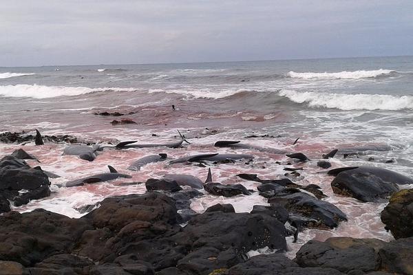 The transit system announced plans to upgrade its trains with Wi-Fi and charging ports