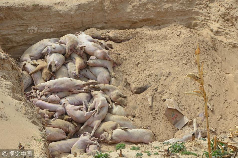 A major film studio announced it will release 20 new movies next year including several sequels to popular franchises